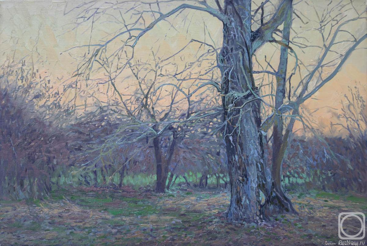 Картина маслом на холсте. Кожин Семён. Апрельский вечер у тополя