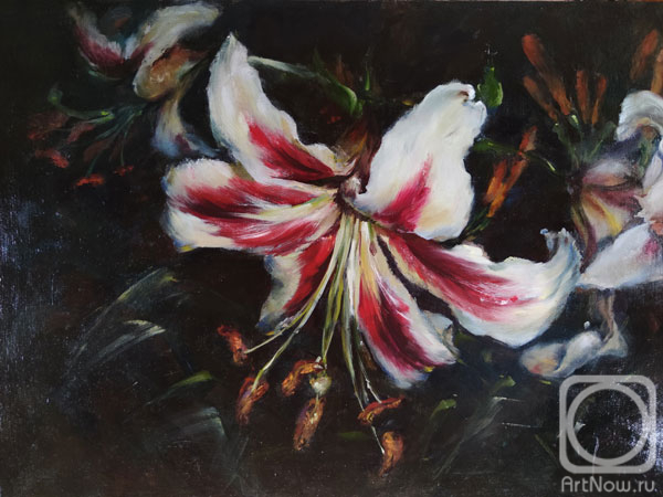 Картина. Криворученко Елена. Королева ночи