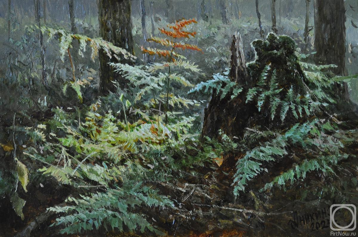 Картина маслом на холсте. Аникин Алексей. Серия миниатюр "Заповедные места"