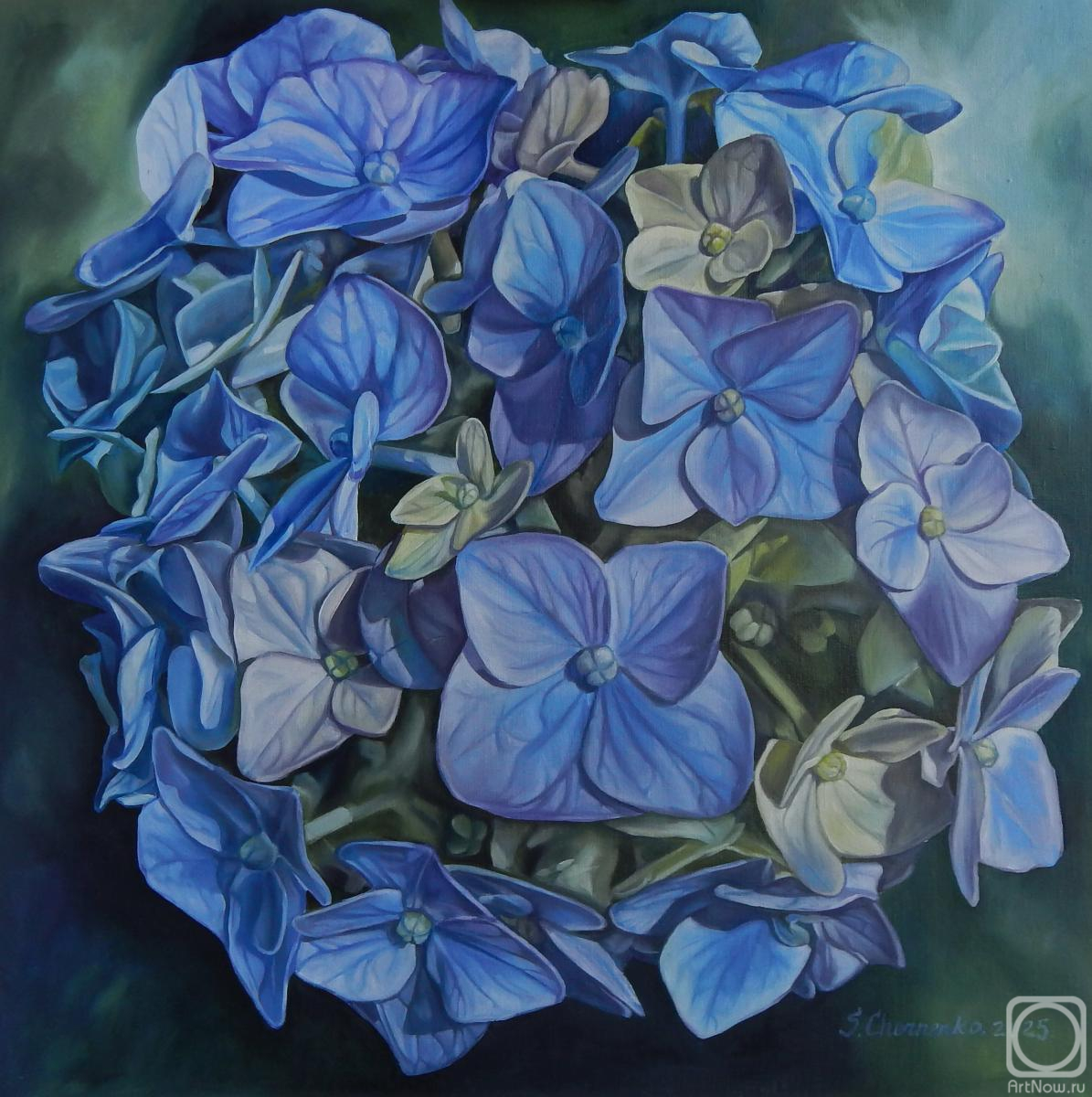 Картина маслом на холсте. Черненко Светлана. Голубая гортензия