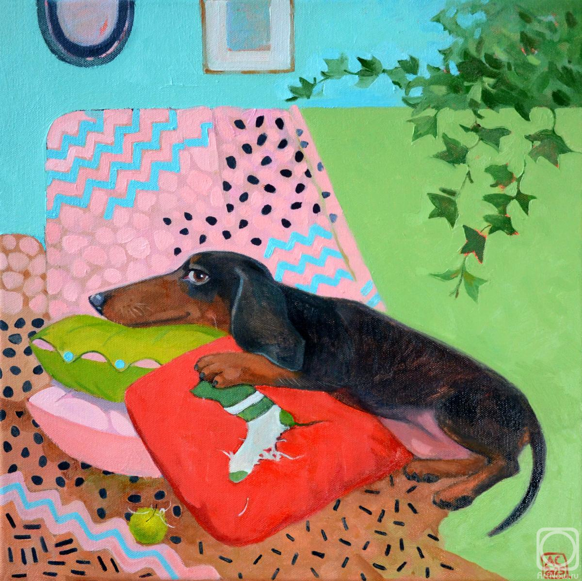 Картина маслом на холсте. Сергеева Александра. Любимый носочек (такса отдыхает на диване)