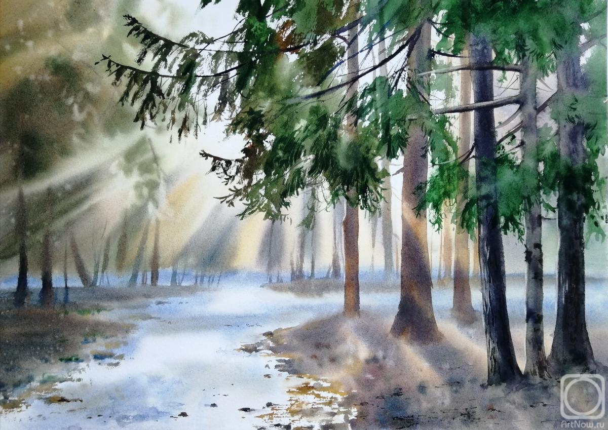 Картина. Коваленко Ольга. Весенний лес