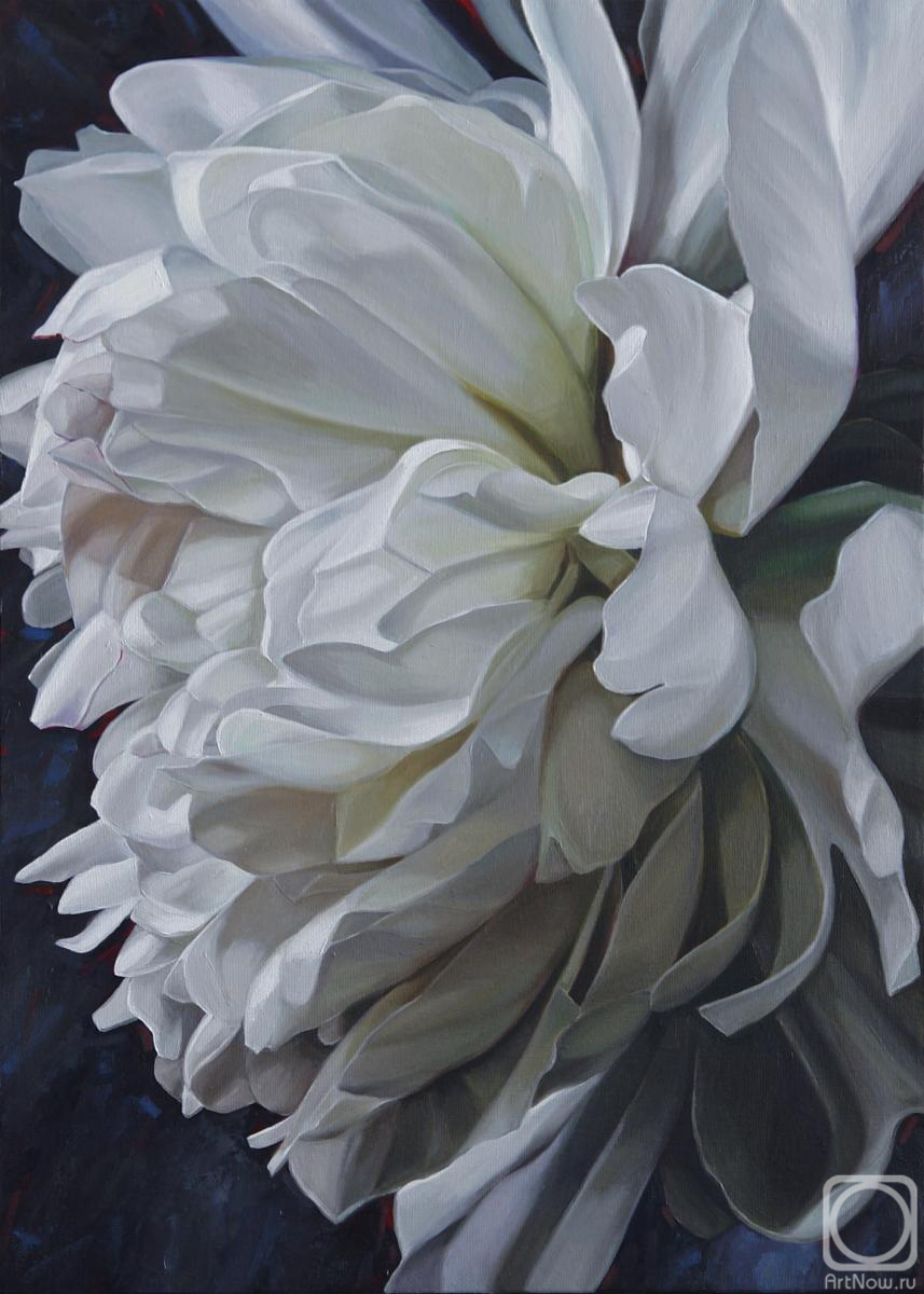 Картина маслом на холсте. Вестникова Екатерина. Белый пион