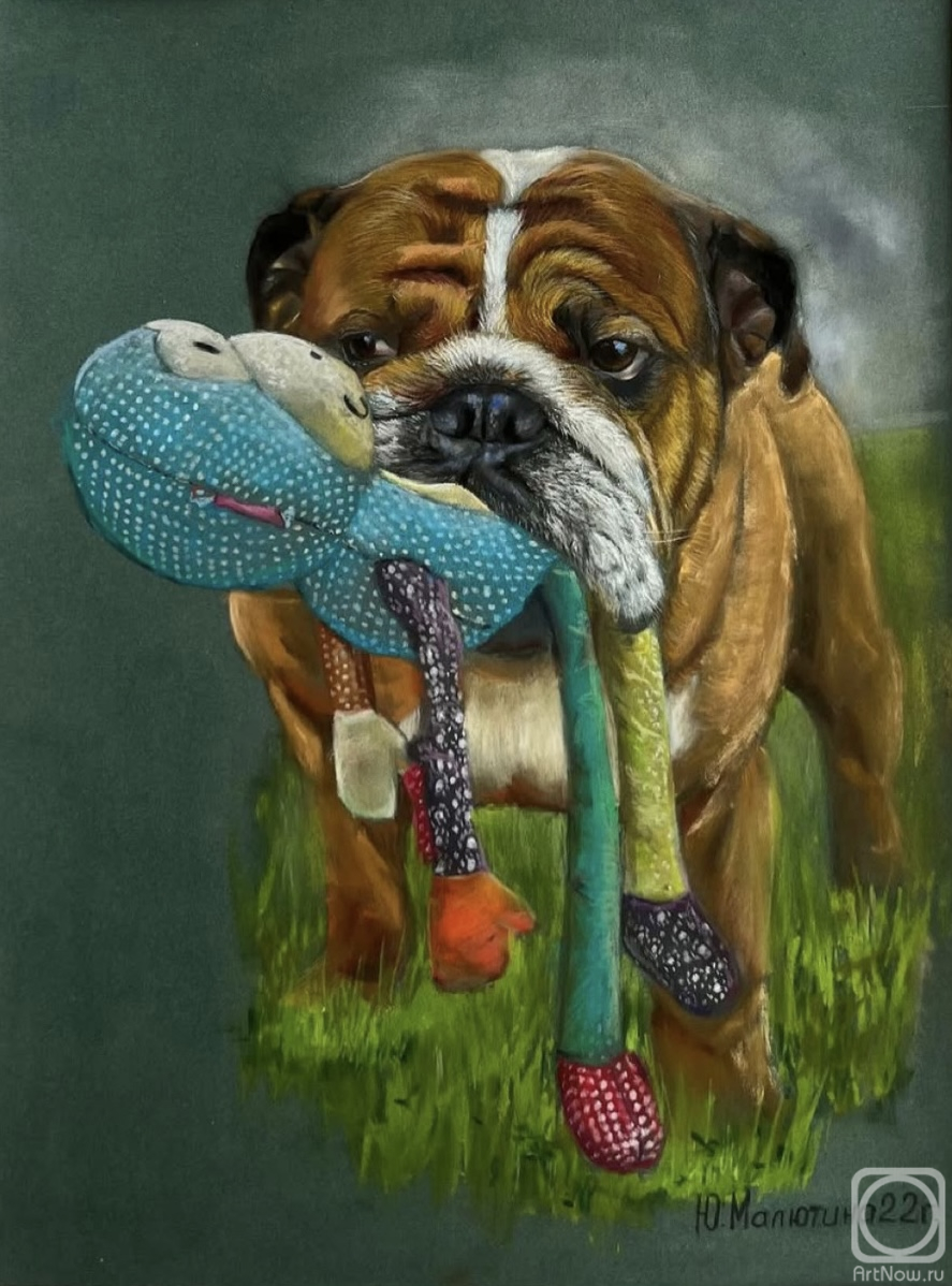 Картина. Малютина Юлия. Бульдог