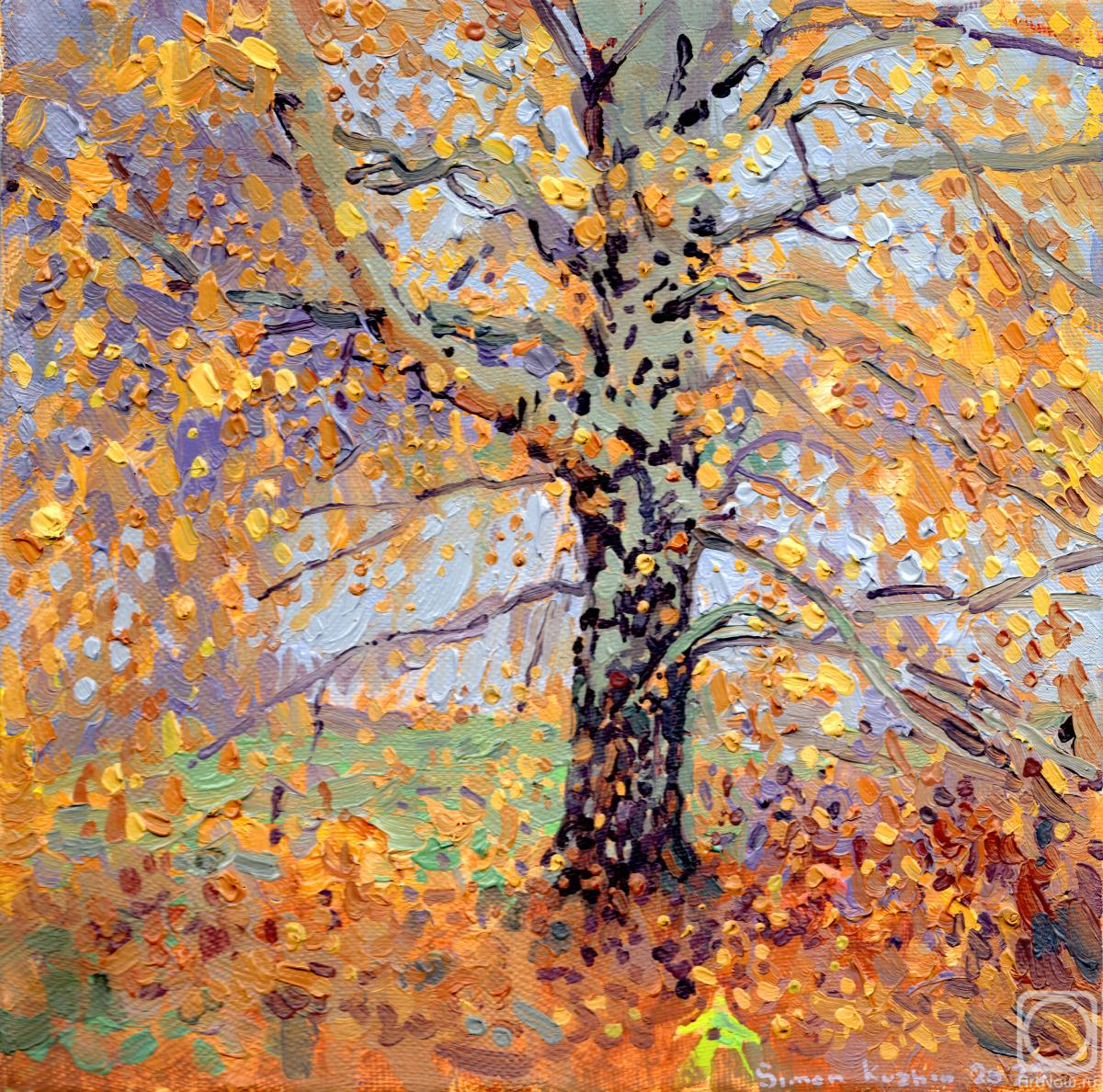 Картина маслом на холсте. Кожин Семён. Золотая берёза