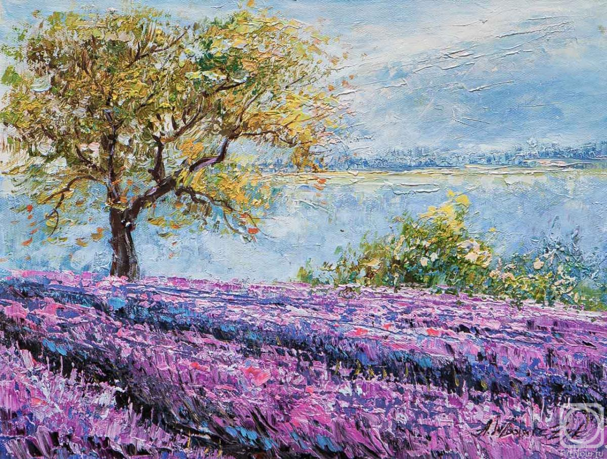 Картина маслом на холсте. Влодарчик Анджей. Утренний туман над лавандовым полем