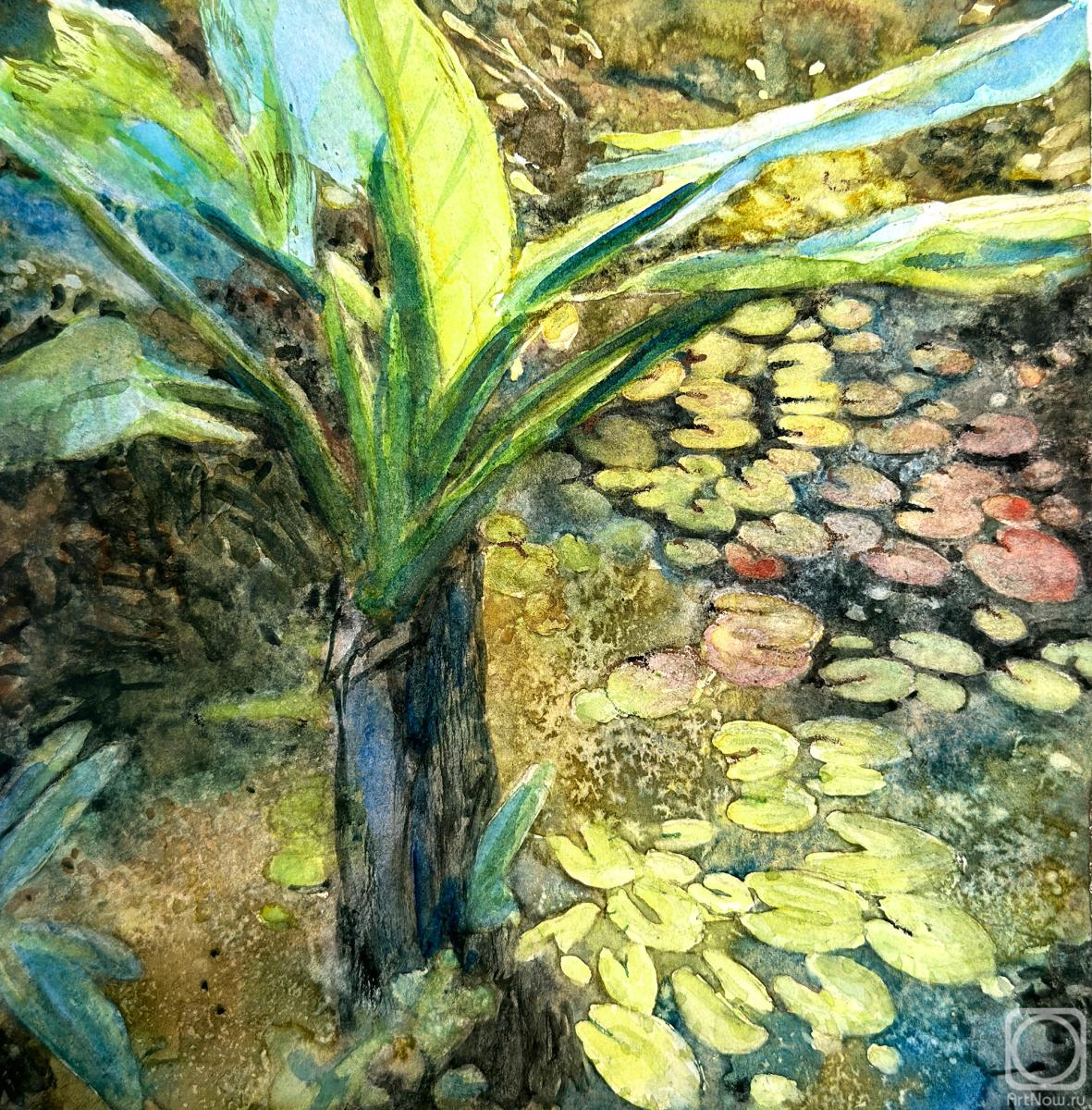 Картина. Алферонок Виктория. Тропики в ботаническом саду