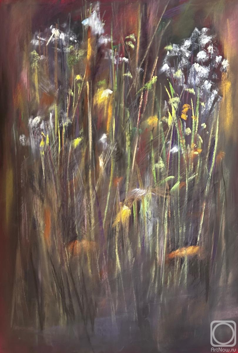 Картина. Балашова Наталья. Травы на закате. Серия Травы. Оформлена