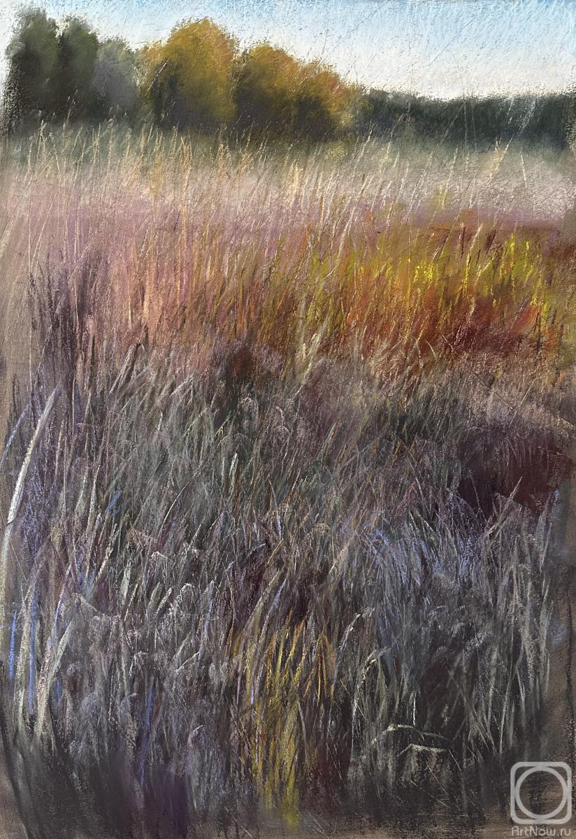 Картина. Балашова Наталья. Первые заморозки. Серия Травы. Оформлена