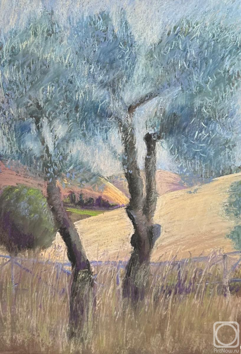 Картина. Балашова Наталья. Тосканские истории (2)