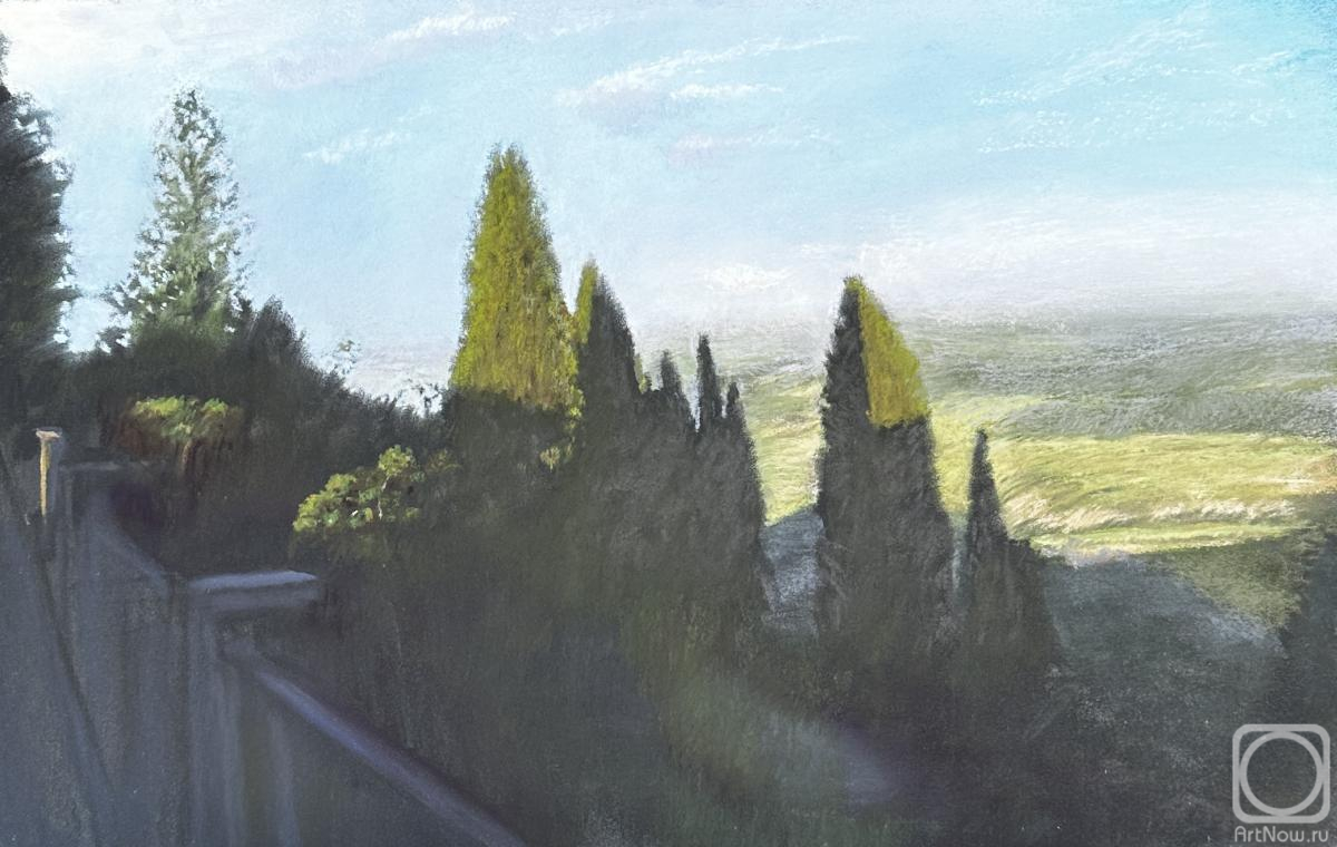 Картина. Балашова Наталья. Кипарисы в Монтепульчано. Оформлена