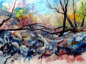 Муртазин Ильгиз Мухаметхазиевич. Гармония хаоса Муртазин Ильгиз Мухаметхазиевич. Гармония хаоса