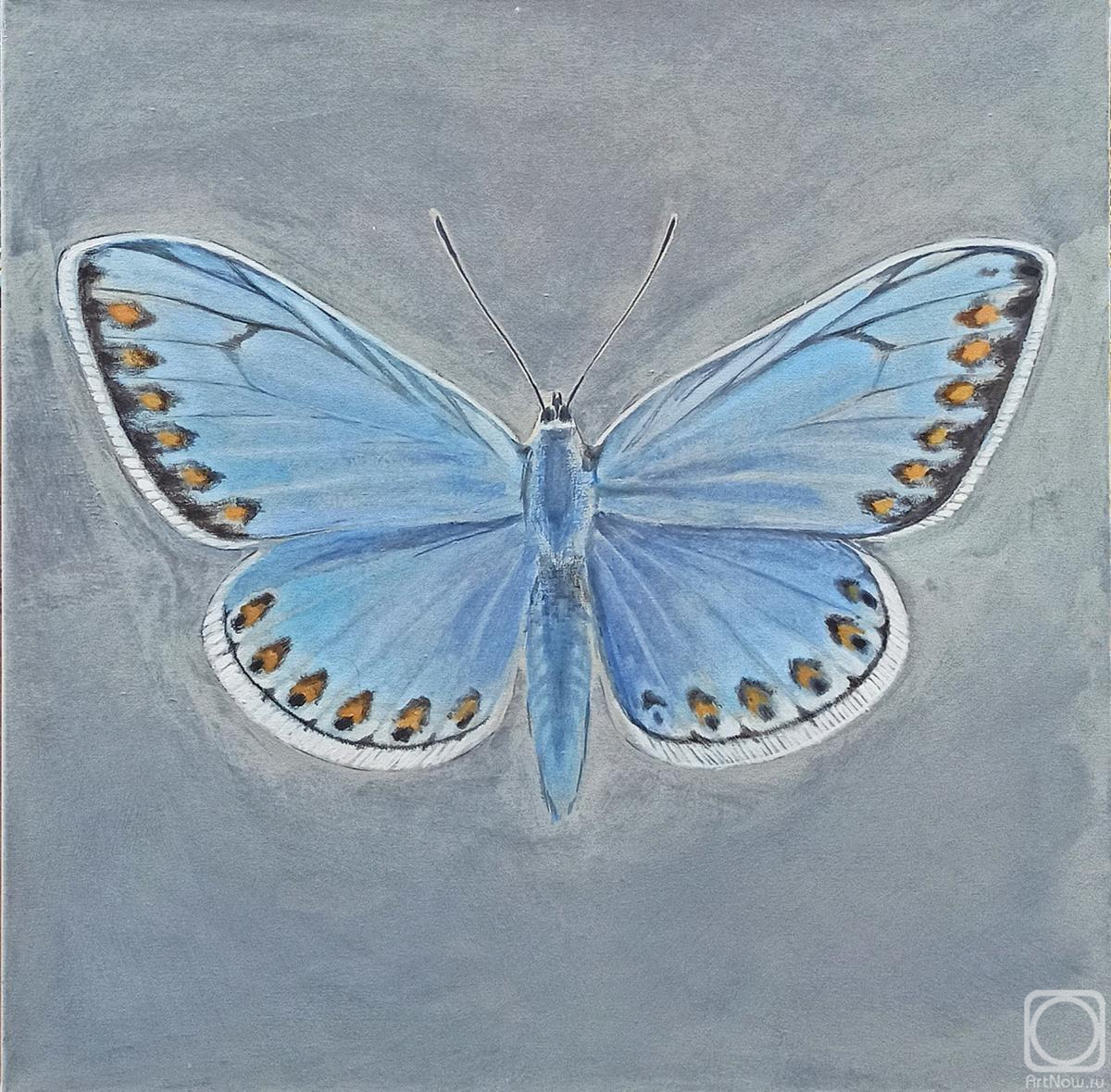 Fetisova Darya. Blue butterfly