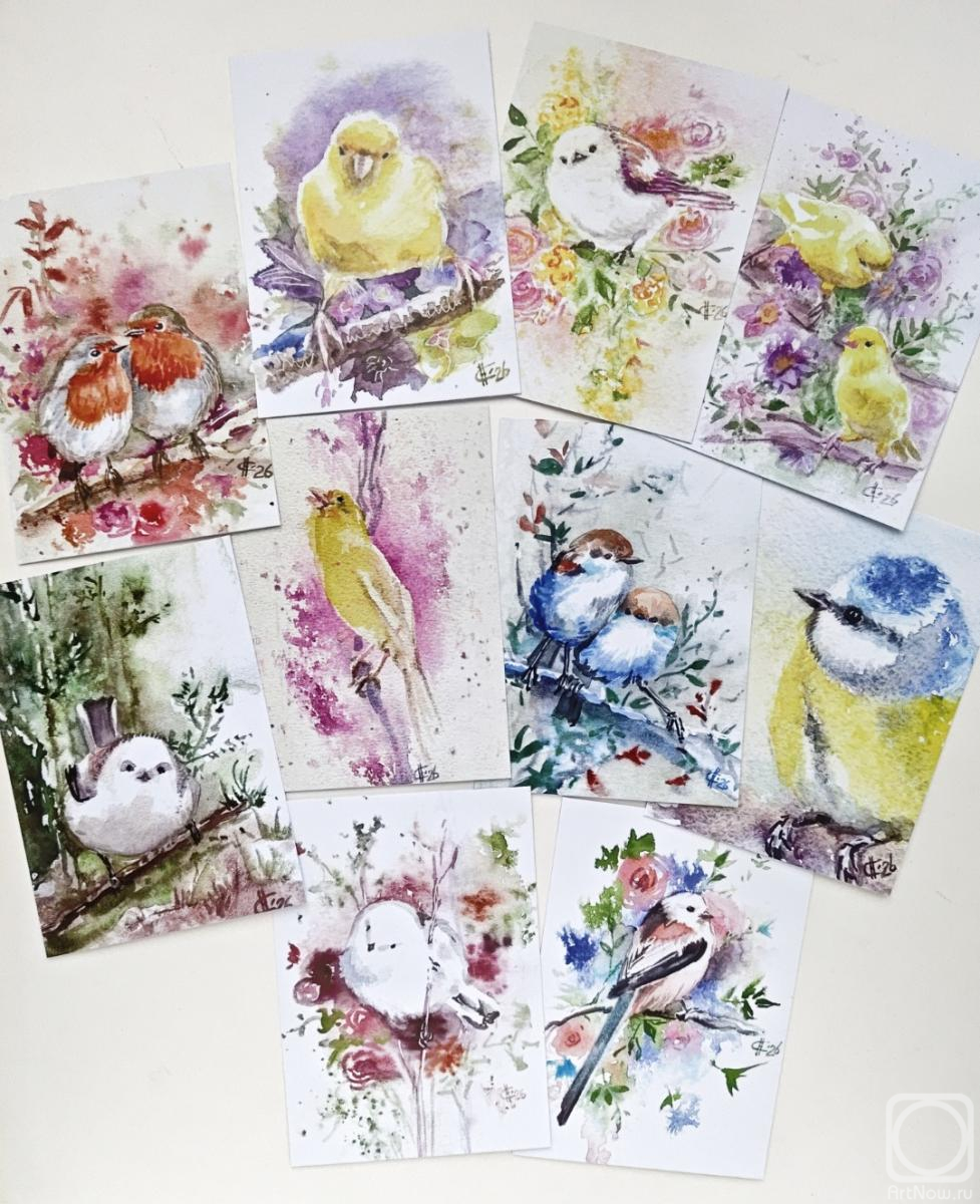 Сухова Наталья. Открытки почтовые ПТИЦЫ и ЦВЕТЫ