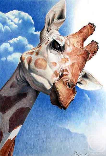 Konstantin Pavel. Giraffe