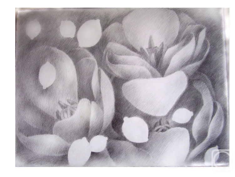 Картина. Расина Нина. Трансформации