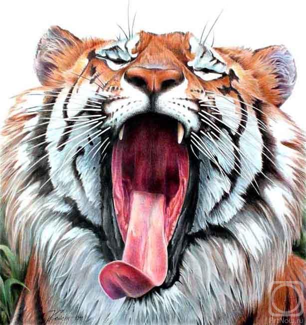 Konstantin Pavel. Yawn tiger