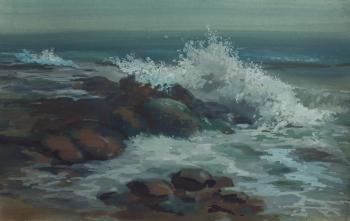 Waves and stones. Shanin Vladimir