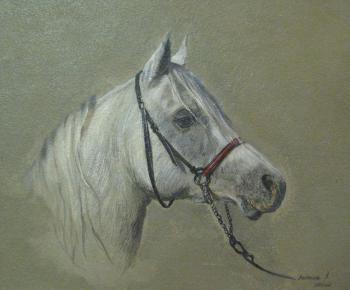 Horse. Lesokhina Lubov