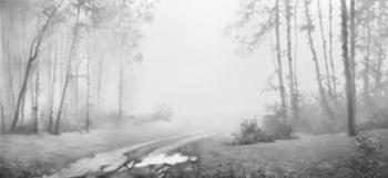 Mist in the Birch Grave