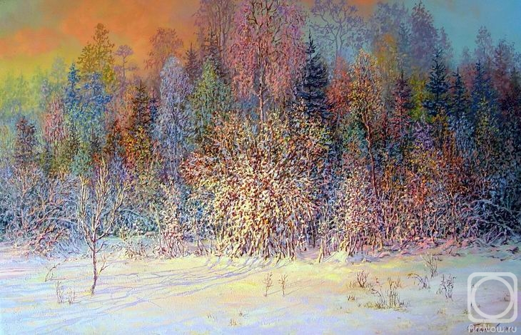 Panin Sergey. The winter symphony