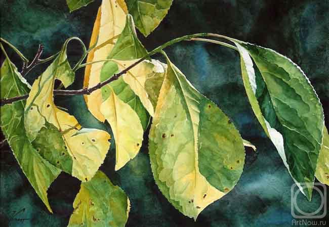 Konstantin Pavel. Sun in plum leaves