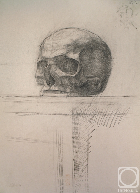 Yudaev-Racei Yuri. Skull (Cranium)
