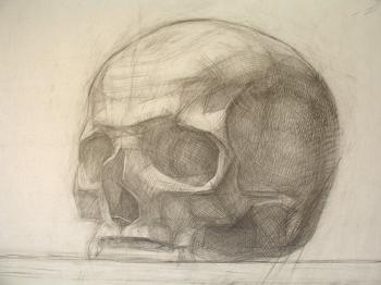 Skull (Cranium), detail. Yudaev-Racei Yuri