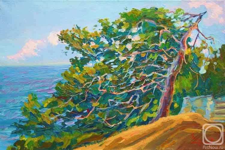 Mirgorod Igor. Wings of the wind. Pines of the Crimea