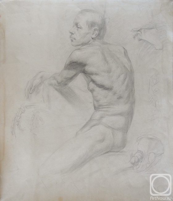 Panov Igor. Anatomic drawing