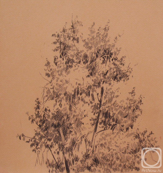 Kiryanova Victoria. Tree drawing
