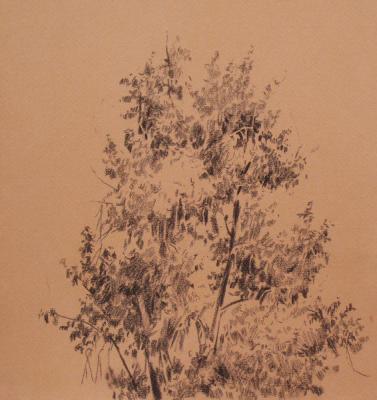 Tree drawing