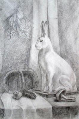 Hare. Shukshina Daria