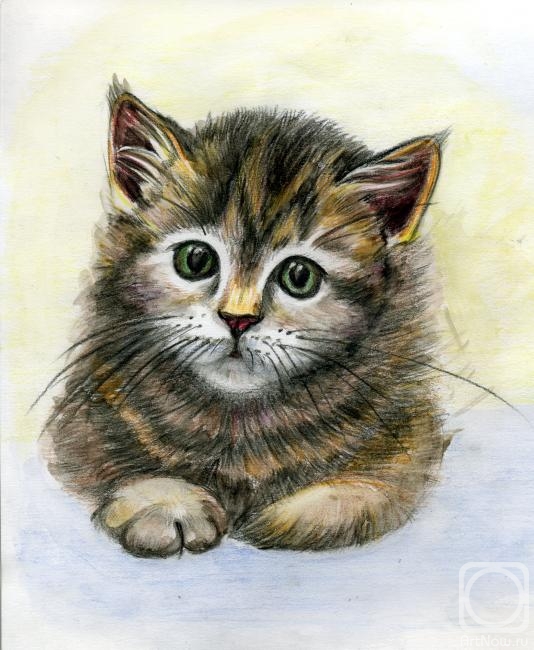 Kondyurina Natalia. Little Cat