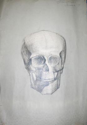 Skull. Kudryashov Galina