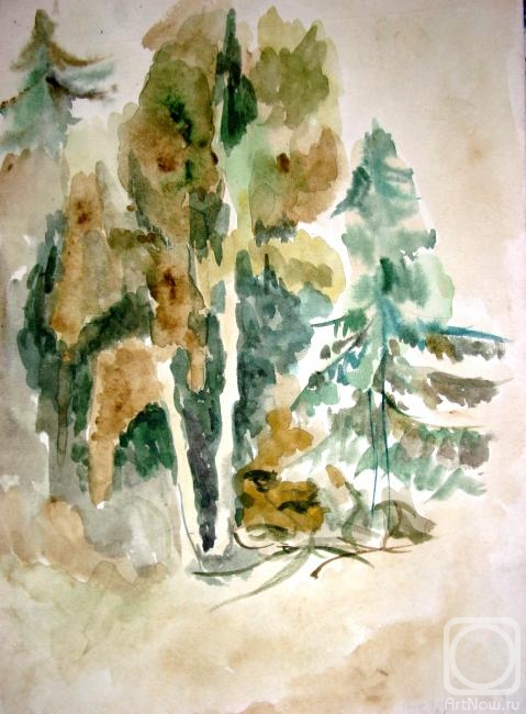 Slozhenikina (Kosareva) Natalia. Forest Study