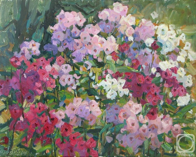 Картина маслом на холсте. Жукова Юлия. Флоксы