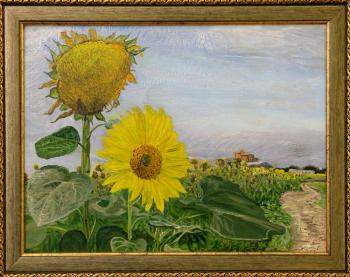 07/23/2010 y. Two sunflowers ("The senility" & "The youth"). Village Grazhdanskoe (Civil) (The second Grazhdanka) Minvody county, Stavropolian region. Poltavsky Aleksandr