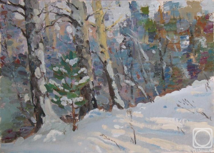 Arepyev Vladimir. Romance of the winter forest in cold colors