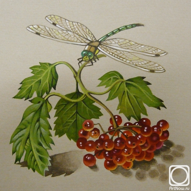 Belova Asya. Kalinka and dragonfly