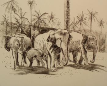 399 (Indian Elephant Family). Lukaneva Larissa