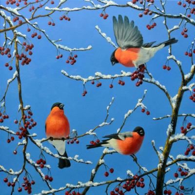 Bullfinches arrived