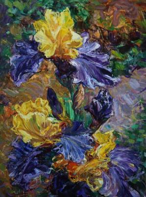 Yellow irises ( ). Vyrvich Valentin