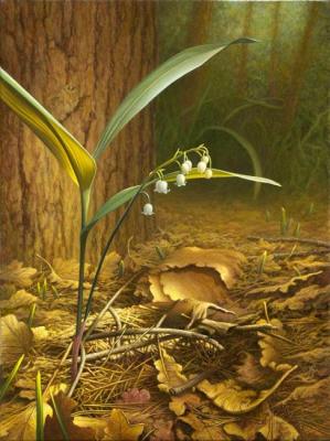 Lily of the Valley in Sunlight 2011 (giclee)