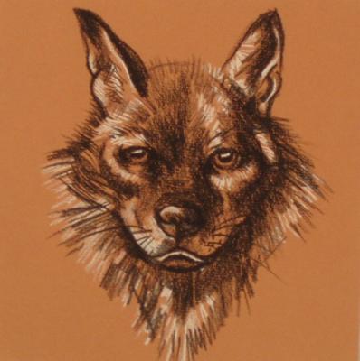 487 (Wolf's Head). Lukaneva Larissa