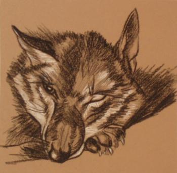 488 (Wolf's Head). Lukaneva Larissa