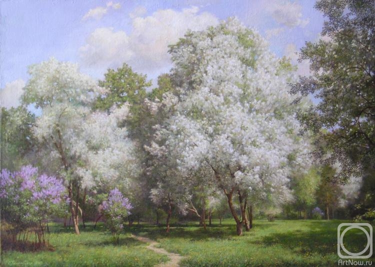 Kalinovskaya Ekaterina. Spring. Apple-tree