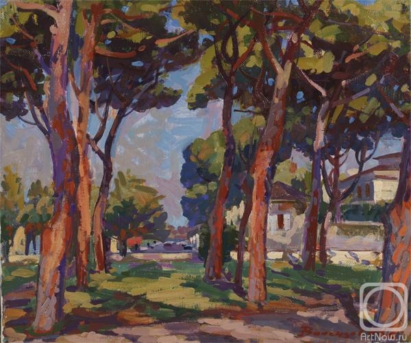 Valentsov Vladimir. Terracina.Orange stone pines