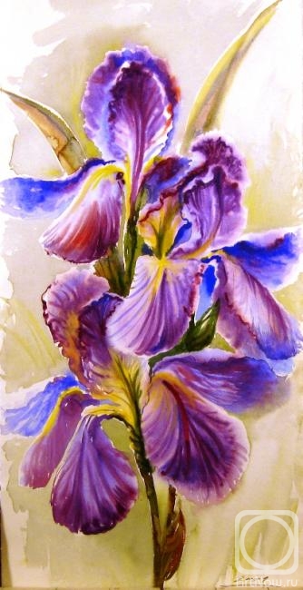 Krasavin-Belopolskiy Yury. Irises