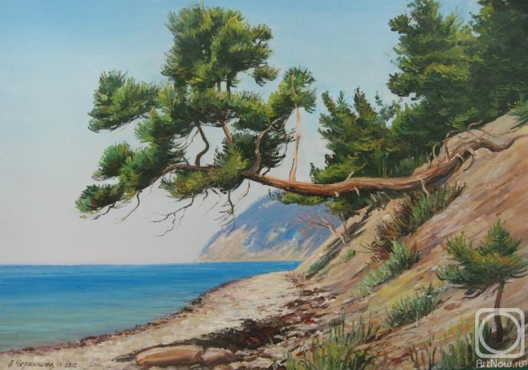 Chernyshev Andrei. Pine by the sea